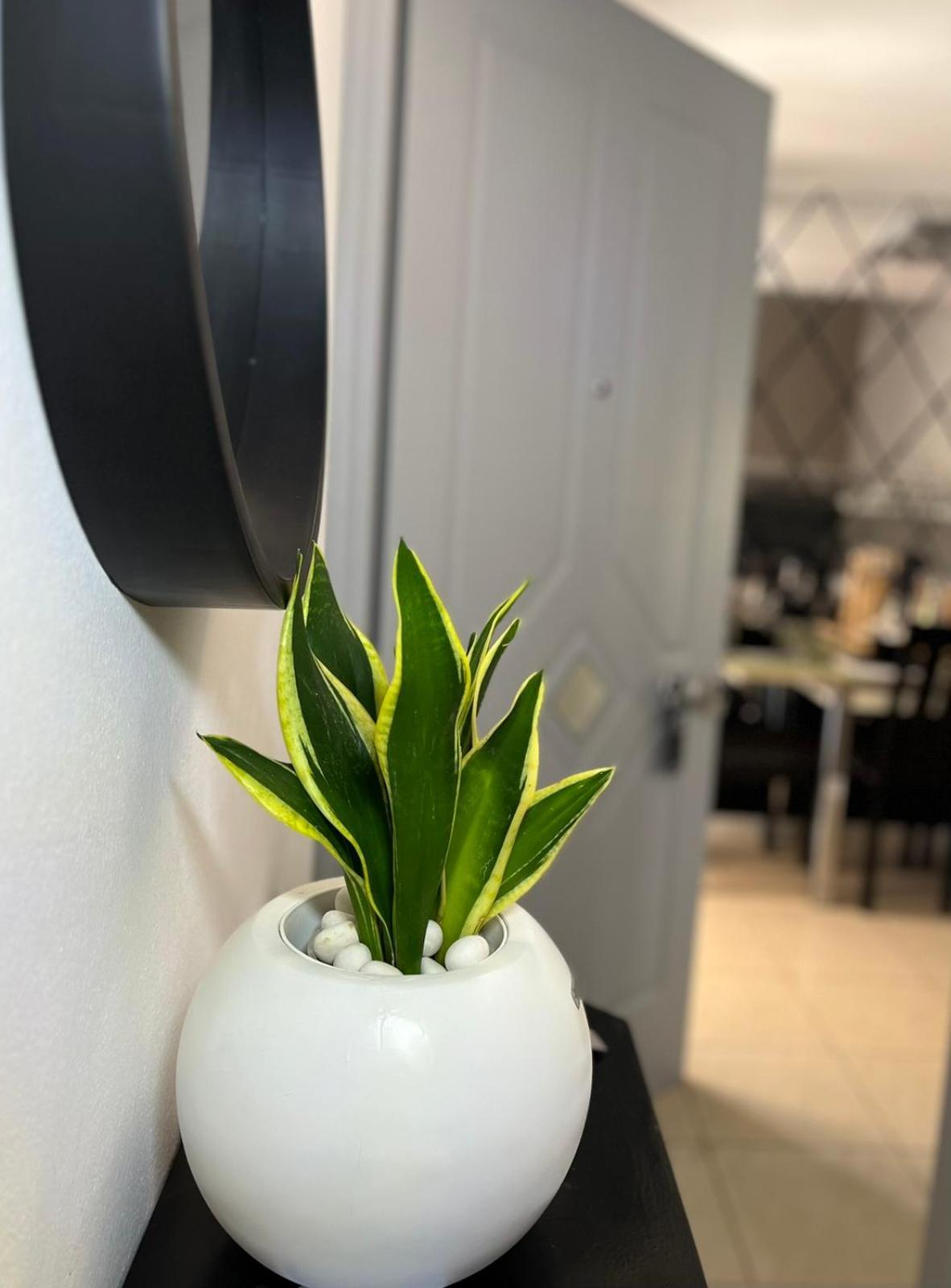 Apartmán Diamond Lux